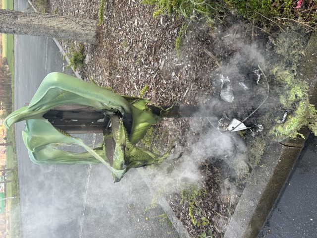 ffw brand papierkorb bild2